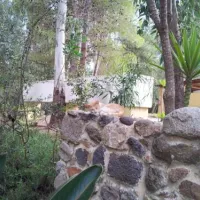 camping-la-pineta-barisardo-wwmpa