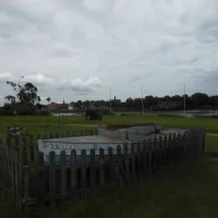 rheincamping-meerbusch-meerbusch-langstkierst-vrbhd