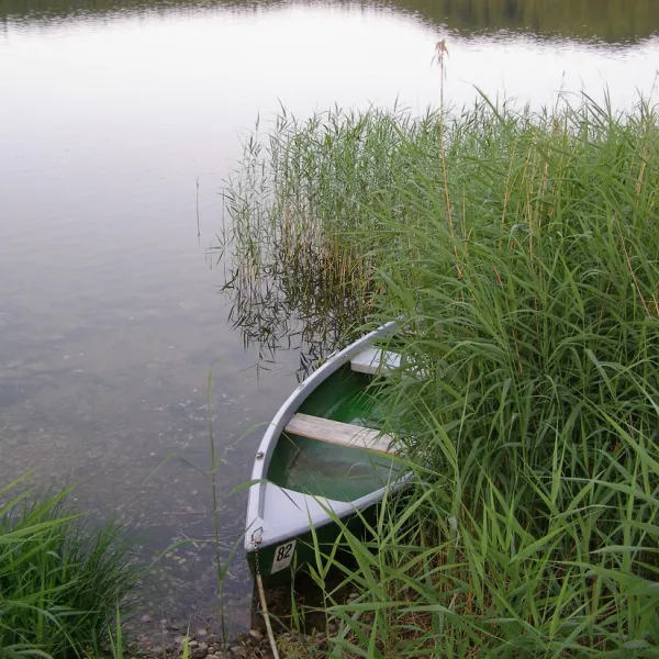 camping-ampersee-olching-bei-mnchen-orrn0