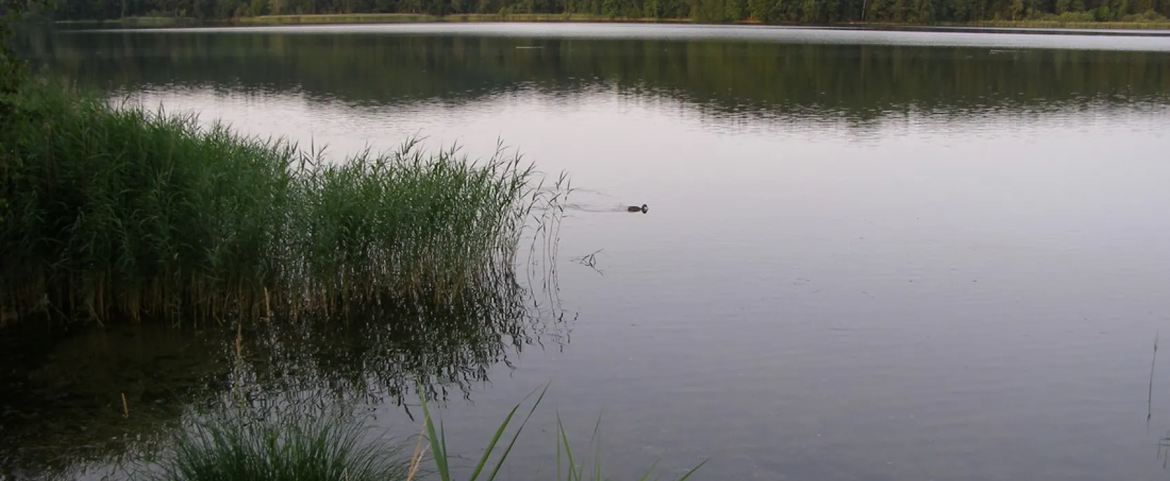 Camping Ampersee
