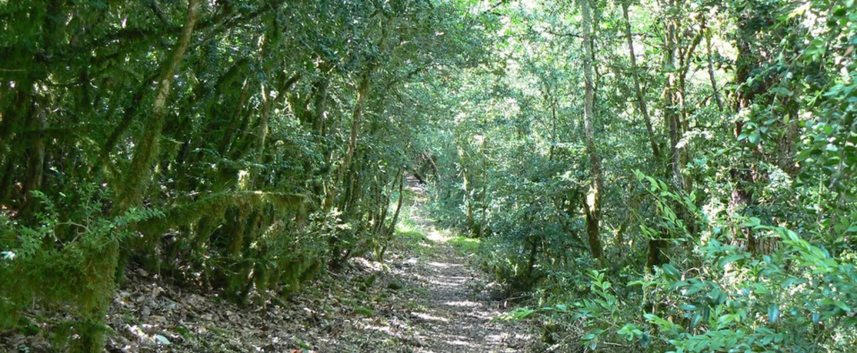 Camping Naturiste Domaine de Lalbrade