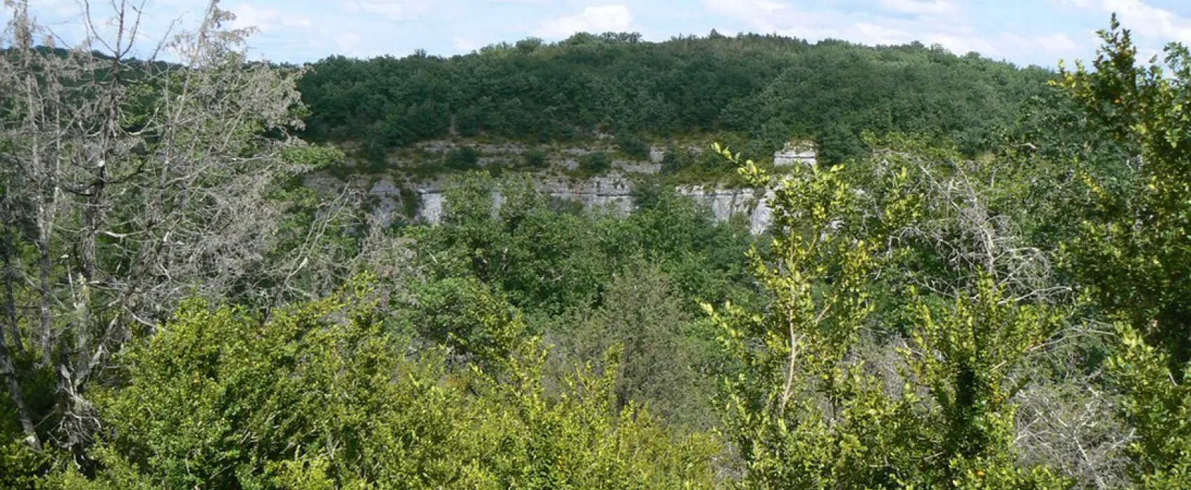 Camping Naturiste Domaine de Lalbrade