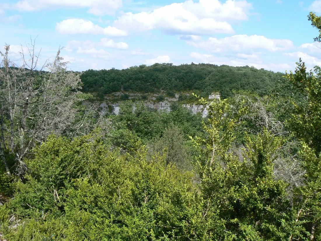 camping-naturiste-domaine-de-lalbrade-limogne-en-quercy-o0dn2