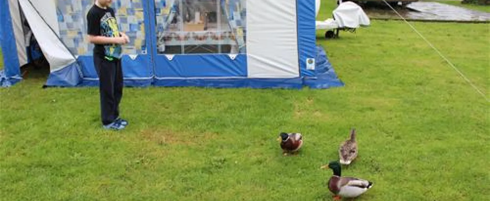 Rheincamping Siebengebirgsblick
