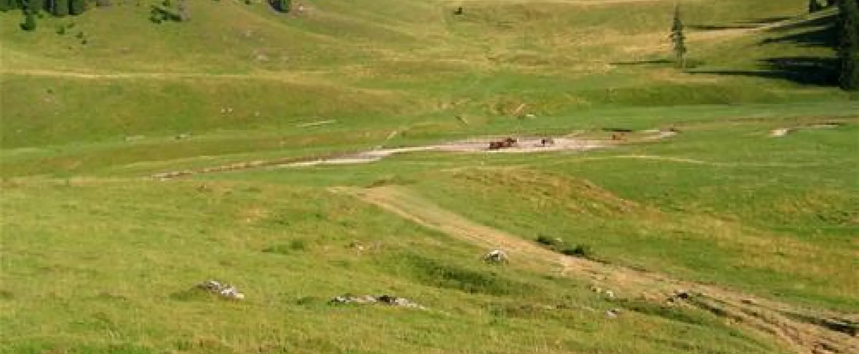 Camping Poiana Glavoi