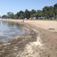 camping-villaggio-turistico-europa-grado-wmbx9