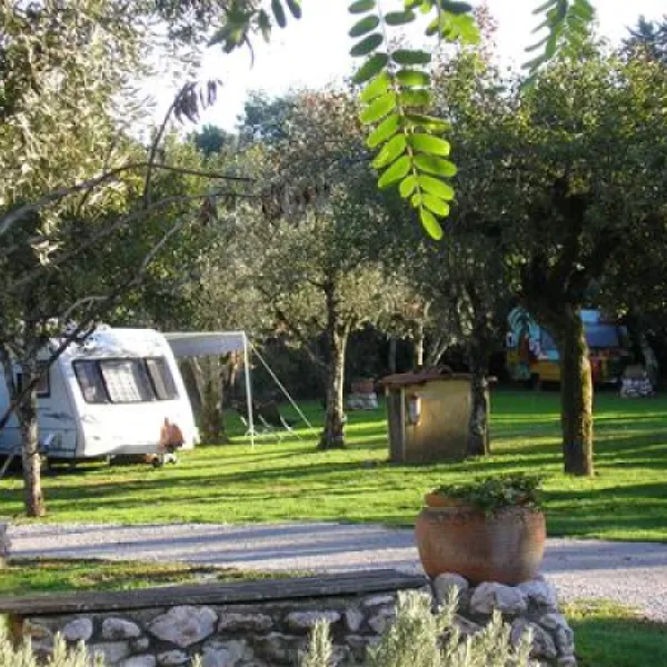 parque-de-campismo-quinta-da-cerejeira-ferreira-do-zzere-zg9gz