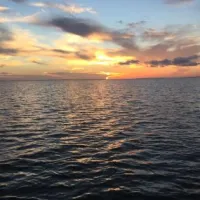 galveston-island-rv-resort-galveston-0nnlk