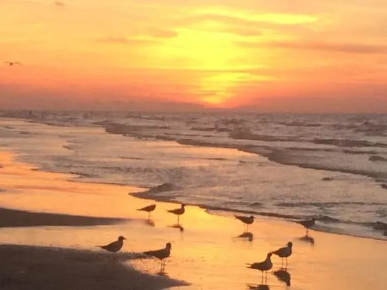 galveston-island-rv-resort-galveston-pwmaf