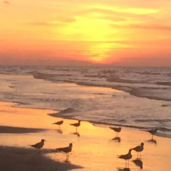 galveston-island-rv-resort-galveston-pwmaf