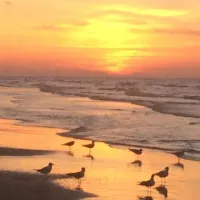 galveston-island-rv-resort-galveston-pwmaf
