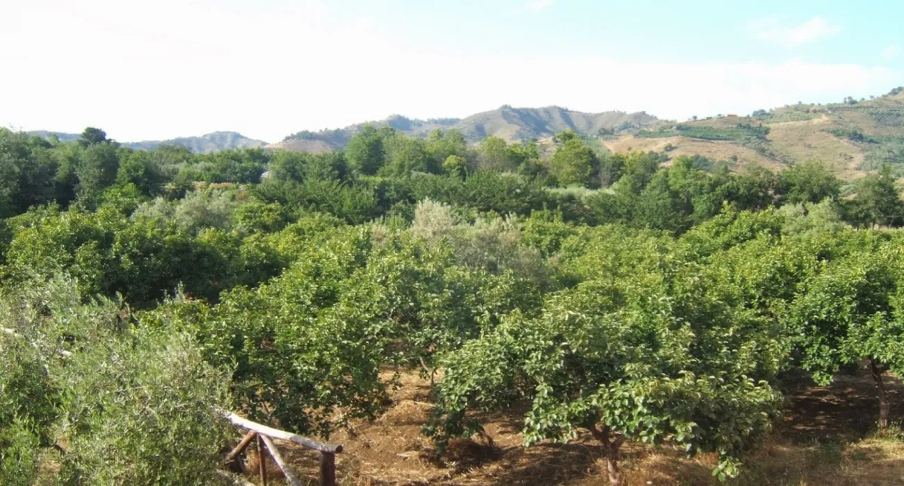 agricampeggio-contrada-friera-catania-behg3