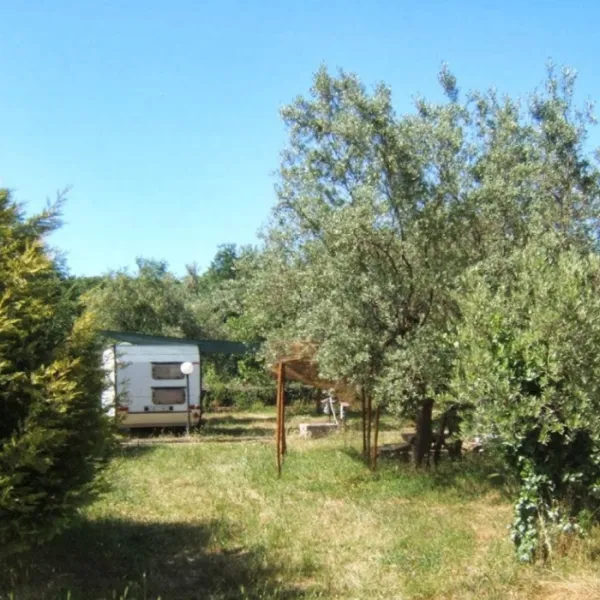 agricampeggio-contrada-friera-catania-do8ht