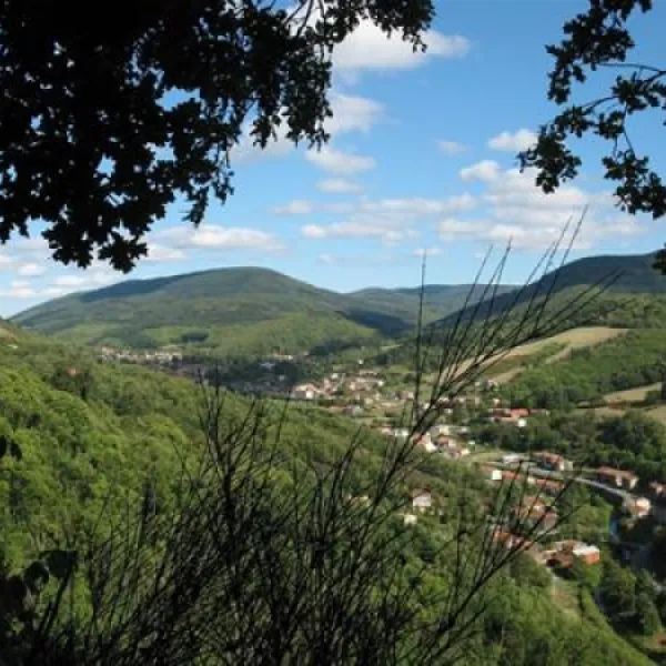 camping-municipal-de-cabanes-labastide-rouairoux-6xrum
