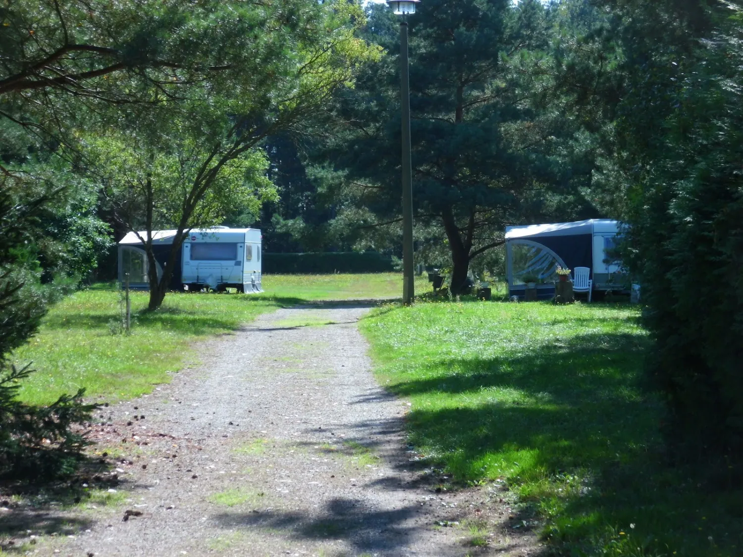waldcamping-schwarzbach-schwarzbach-bei-senftenberg-fwuga