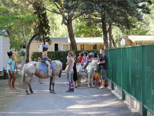 camping-abri-de-camargue-le-grau-du-roi-4duhn