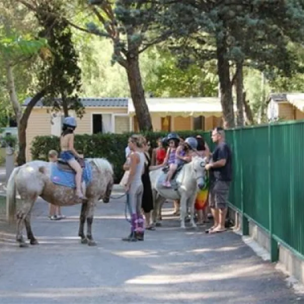 camping-abri-de-camargue-le-grau-du-roi-4duhn