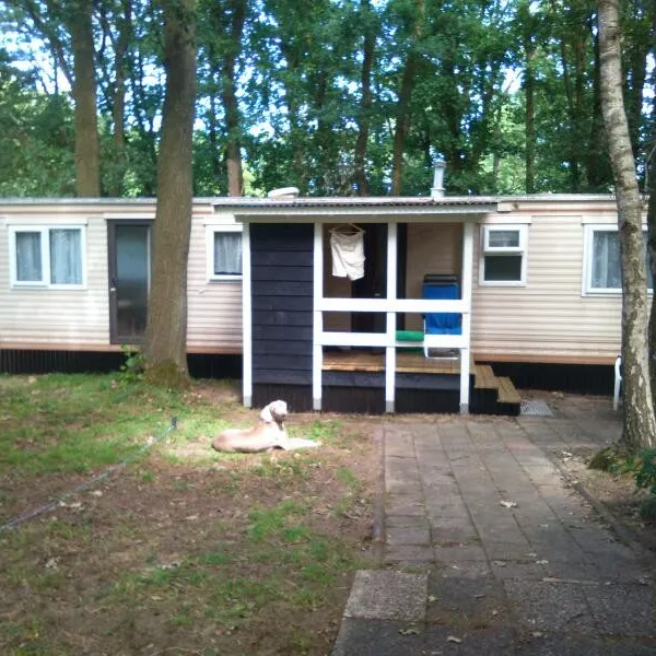 camping-dennenlust-de-lutte-jodbx
