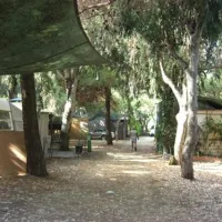 camping-al-yag-pozzillo-di-acireale-fuj57