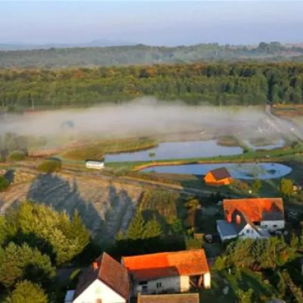 camping-nad-stawami-zoty-stok-vnfdg