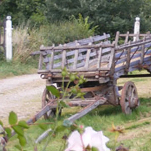 les-busserolles-buxieres-les-mines-allier-kgfcf