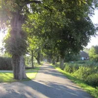 campingplatz-krautsand-drochtersen-gy1t4