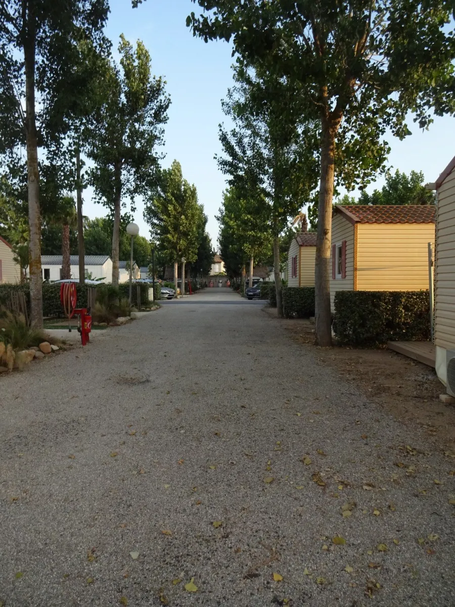 yelloh-village-club-farret-vias-plage-8hxnp