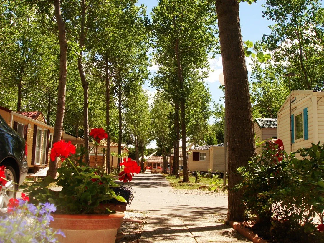 yelloh-village-club-farret-vias-plage-qdrw1
