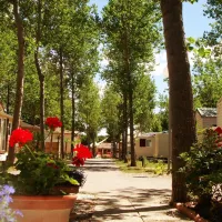 yelloh-village-club-farret-vias-plage-qdrw1