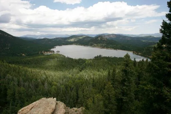 wellington-reservoir-bailey-ivvyw