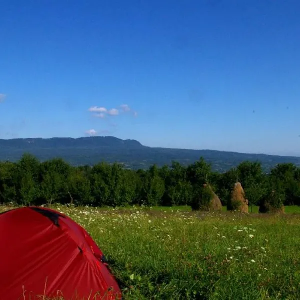 Babou Maramures
