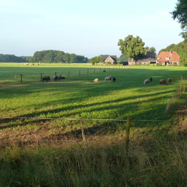 camping-warnsveld-warnsveld-q3uvu