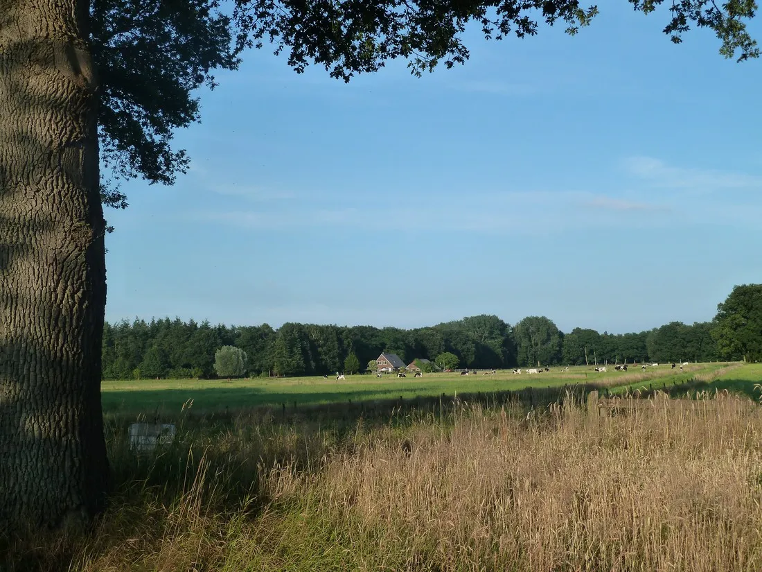 camping-warnsveld-warnsveld-tacgd