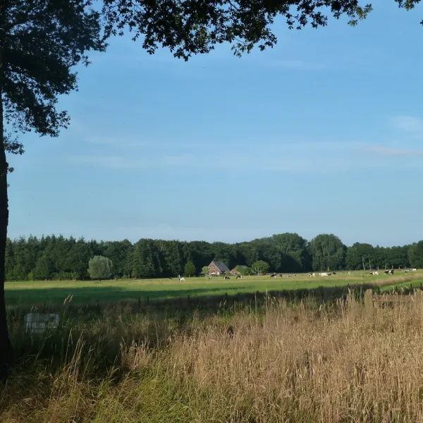 camping-warnsveld-warnsveld-tacgd
