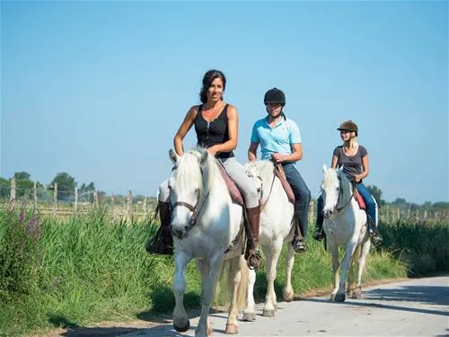 camping-fleur-de-camargue-aigues-mortes-smlnx