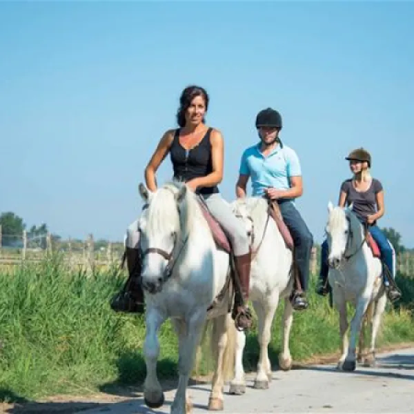 camping-fleur-de-camargue-aigues-mortes-smlnx