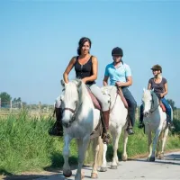 camping-fleur-de-camargue-aigues-mortes-smlnx