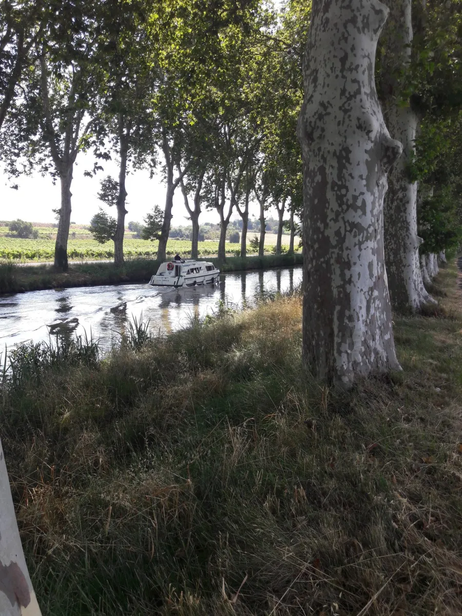 camping-les-berges-du-canal-villeneuve-les-bziers-olivh