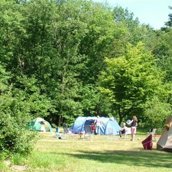 natuurkampeerterrein-het-hallse-hull-hall-ygxvm