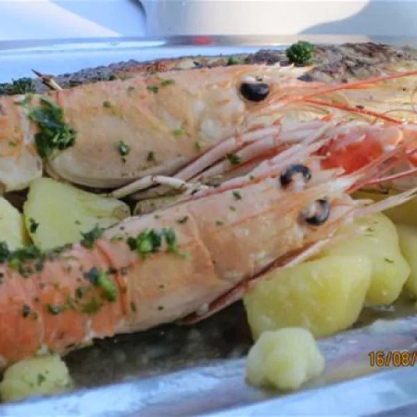 camping-zelena-laguna-porec-igta1