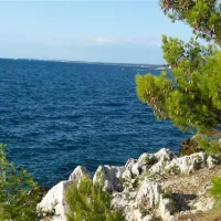 camping-zelena-laguna-porec-n5jnb