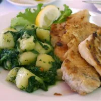 camping-zelena-laguna-porec-rmxqf