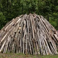 le-carbonaie-agricampeggio-casore-del-monte-marlianapistoiafirenze-adwoj