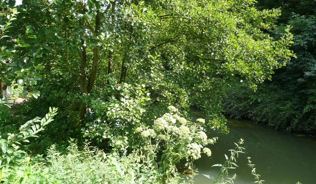 camping-paris-beau-village-villiers-sur-orge-whcec