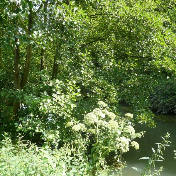 camping-paris-beau-village-villiers-sur-orge-whcec