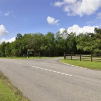 ladycross-plantation-caravan-park-whitby-cv55d