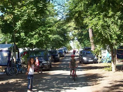 camping-club-les-pins-le-grand-village-plage-wj6xr