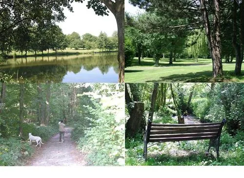 camping-du-domaine-du-lac-blangylechateau-mwoqz
