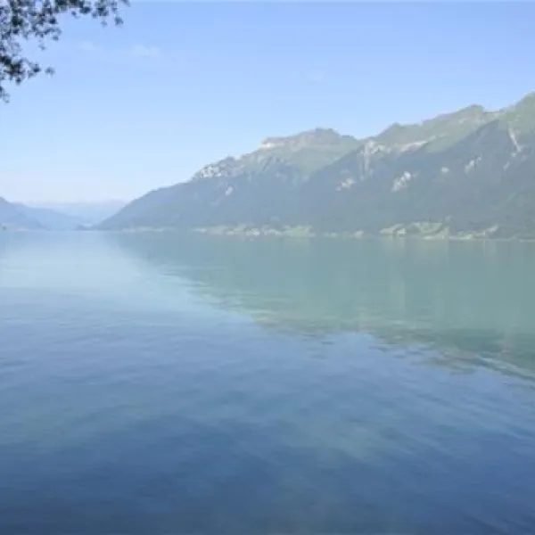 camping-aaregg-brienz-fl8b2