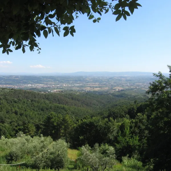 campeggio-villaggio-san-giusto-capraia-e-limite-o6fxi